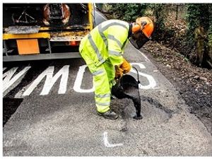 Supporting image for story: More than 2,000 potholes fixed in Shropshire as roads quieter in coronavirus lockdown