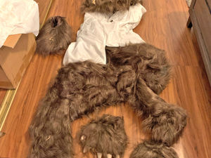 Supporting image for story: Insurers allege bear that damaged luxury cars was actually a person in a costume