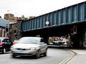 Supporting image for story: Animal lovers demand action on Shrewsbury pigeon deaths