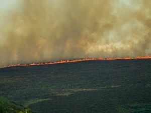 Supporting image for story: Llantysilio Mountain blaze spreads to Horseshoe Pass