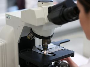 Supporting image for story: Shutdown of crucial gene helps world’s deadliest cancer grow rapidly – study