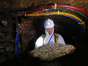 Supporting image for story: Fatberg ahead! Warning as Shropshire's sewers get blocked