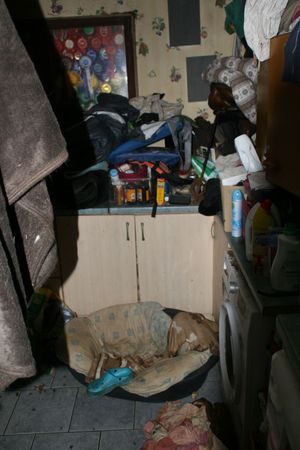 The case was cracked when members of the public complained that their pets became ill. Pictures from the case as a whole, provided by the RSPCA