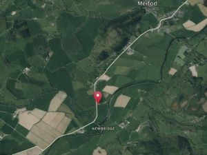 Supporting image for story: Objections raised against plans for Alpaca Experience near Meifod