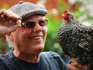 Supporting image for story: WATCH: Hen shocks owners after hatching egg the size of 20p