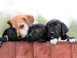 Supporting image for story: People are sharing the best gifts they’ve been given and some might make you cry