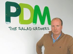 Supporting image for story: 'Safety is priority' insists Newport firm as it brings in European pickers