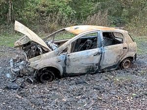 Supporting image for story: Destroyed car found in woods