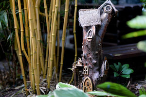 Tony and Marie Newton’s Four Seasons garden in Walsall