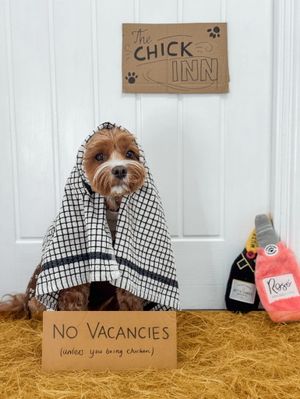 Charlie as an Inn Keeper from Whitstable. 