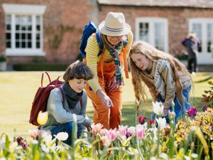 Supporting image for story: Blooming lovely day to open up gardens for charity
