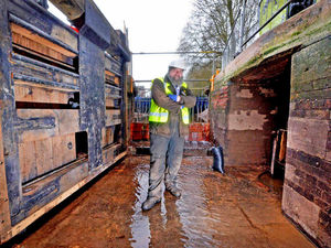 Supporting image for story: Flight of locks gets a £96,000 facelift - pictures