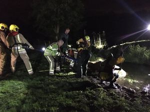 Supporting image for story: Firefighters rescue cow from river near Stafford