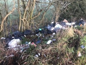 Supporting image for story: 'Genuinely quite disgusting': Shropshire fly-tippers slammed for dumping in countryside