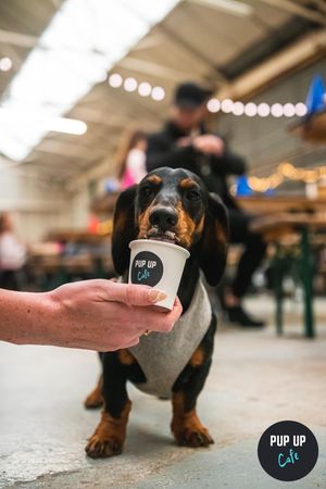 Puppuccino time