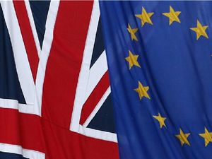 Supporting image for story: Shropshire Star comment: Rough ride on road to Brexit