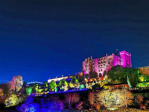 Supporting image for story: Powis Castle is riot of colour for Christmas