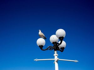 Supporting image for story: ‘Smart’ lampposts in Singapore to trial facial recognition technology