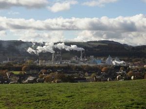 Supporting image for story: Decision on new turbines at Kronospan deferred over air quality checks