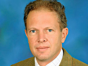 Supporting image for story: Project's success buys time to help curlews