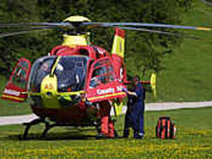 Supporting image for story: Motorist dies in tree crash