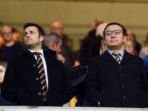 Supporting image for story: Wolves reveal huge loss in latest accounts