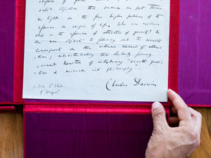Supporting image for story: 'Extremely rare' signed Charles Darwin manuscript could fetch hundreds of thousands at auction