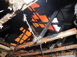 Supporting image for story: Chaos after huge storm