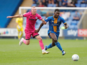 Supporting image for story: Shrewsbury Town 0 Rochdale 0 - Report and pictures