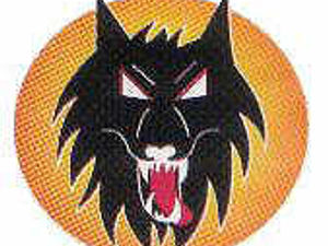 Supporting image for story: Wolves boosted by guest Harris