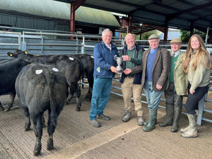 Supporting image for story: Brothers win trophy at record-breaking Bishops Castle sale
