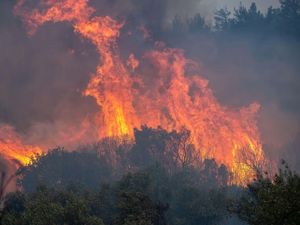 Supporting image for story: Wildfires in Canada and the Amazon made more likely by climate change – report
