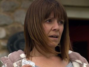 Supporting image for story