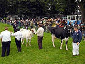 Supporting image for story: Thousands at soggy farm show