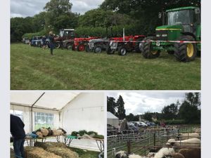 Supporting image for story: Llanwrtyd and District’s annual agricultural show will take place on Saturday, August 16