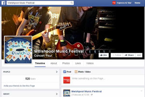 Supporting image for story: Future unclear for Welshpool Music Festival