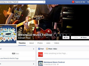 Supporting image for story: Future unclear for Welshpool Music Festival