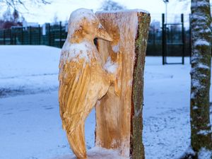 Supporting image for story: Hednesford park Woodpecker sculpture has not been stolen
