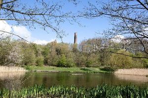 Baggeridge Country Park