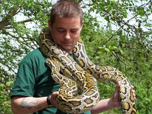 Supporting image for story: Mark Andrews on Saturday: Priorities, snakes and dinosaurs