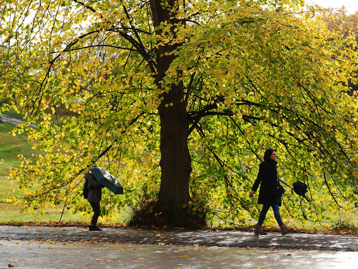 November expected to be warmer than usual but showers set to continue