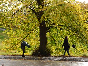 Supporting image for story: November expected to be warmer than usual but showers set to continue