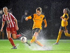 Supporting image for story: Wolves boss worried for the future of the women’s game