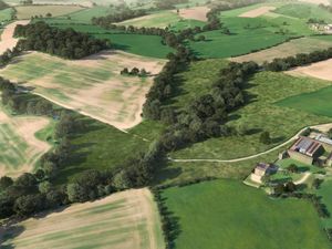 Supporting image for story: Protected creatures to grow in numbers thanks to Ludlow conservation habitat