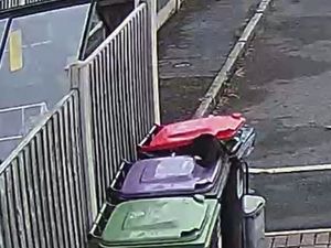 Supporting image for story: 'Good job it's not bin day!' Watch curious cat's lucky escape after clambering into Telford resident's bin