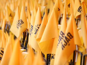 Supporting image for story: Wolves to make Molineux flag fortress for Premier League opener