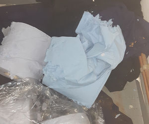 Chew marks were discovered on paper towels