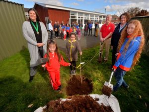 Supporting image for story: Lions help with tree planting as Girlguides surprise member with award