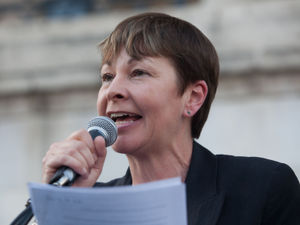 Supporting image for story: Peter Rhodes on that second referendum, David Attenborough's footprint and Xmas presents for dogs and grandads