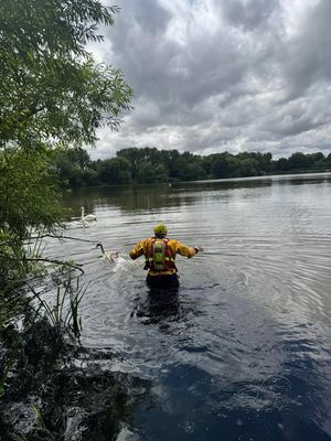 Telford firefighters at Trench Pool, where they were helping a young swan which had become trapped in wire. Photo: Shropshire Fire and Rescue 